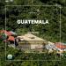 Organic Guatemala Antigua Green Coffee Beans - Specialty Grade 1 Arabica - 5 LB - Buy Online on GoSupps.com