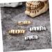 Shop Ciieeo Hip-Hop Gold Trousers & Grills | High-Quality Copper Teeth Accessories for Trendy Styles - Buy Online on GoSupps.com