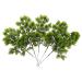 Cabilock 20 Pcs Simulated Pine Leaves Christmas Pine Picks Fern Garland Boutique Plastic Gift Dark Greenx4pcs mediumx4pcs