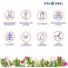 VITA IDEAL Bear Grapes - 180 Capsules of Uva Ursi Folium - Pure 900mg Daily Portion - Real Bear Grape Extract for Optimal Health - Buy Online on GoSupps.com