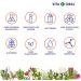 VITA IDEAL Orthosiphon Capsules - 360 Count | Pure Orthosiphon Stamineus Powder - Additive-Free Daily Dose of 540mg - Buy Online on GoSupps.com