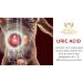 URIC Acid Formula - Natural Kidney Herbal Supplements for Uric Acid Control & Flush - 60 Capsules - Buy Online on GoSupps.com