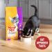 Meow Mix Original Choice Dry Cat Food - Nutritious & Flavorful for Happy Cats - Buy Online on GoSupps.com