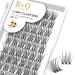 Cluster lashes 72 Clusters B&Q Lash Clusters D Curl Individual Cluster Lashes Natural Eyelash Clusters DIY Lash Extensions Soft Fluffy Cluster Eyelash Extensions (UK-FD-B49-D-12) D-12 mm B 49
