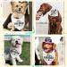 Arricraft Big Brother Pet Bandana - White Cotton Triangle Scarf for Dogs and Cats 55x55x78cm - Buy Online on GoSupps.com