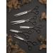 Andis Professional Left-Handed Straight Shears for Dog and Cat Grooming - Buy Online on GoSupps.com
