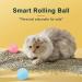 2PCS wloom cat Ball 2.0 Power Ball 2.0 cat Toy Peppy pet Ball for Dogs Cat Interactive Hunting Cat Toy Intelligent 360 Degree Active Moving Pet Ball Toy Rolling Smart Electronic Dog Cat Ball Toy - Buy Online on GoSupps.com