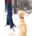 Regal Dog Halison Biothane Waterproof Collar & Leash Set - Perfect for Small to Large Dogs - Striking Red Color - Buy Online on GoSupps.com