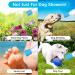 Portable Dog Shower Head | 4-Piece Water Sprayer Set for Outdoor Camping | Pet Bathing Supplies | Beach Shower Attachment - Buy Online on GoSupps.com