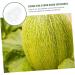 Happyyami Gardening Tool 6 Pcs Vegetable Mold Fruits Shaping Planting Small Mold Shaper Multifunction 9x8cmx2pcs Transparentx2pcs - Buy Online on GoSupps.com
