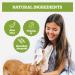 Pogis Care Cloths - 100 Biodegradable Desodorizing Wipes for Dogs - Extra Red Green Tea Fragrance - Buy Online on GoSupps.com