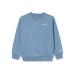 Champion Unisex Kids and Youth Sweatshirt 15-16 Years Denim Chiaro