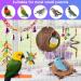 Erkoon Bird Toys for Parrots | Wooden Hanging Bells Hammocks & Rocking Toys - Perfect for Small Birds - Buy Online on GoSupps.com