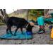 RUFFWEAR Quencher Bowl - Huckleberry Blue Small | Durable & Portable Dog Water Bowl for Travel - Buy Online on GoSupps.com