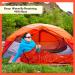12 Set Emergency Sleeping Bag Survival Bivvy Sack Blanket with Whistles Lightweight Portable Thermal Survival Bag Thick Mylar Tent with Hood Extension Nylon Stuff Sack for Camping Hiking Outdoor - Buy Online on GoSupps.com