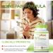 Healthology PAIN-FX | Joint Pain Relief Supplement | Anti-Inflammatory Joint Support | Contains Curcumin & Boswellia | Natural Source of Antioxidants | 60 Veggie Capsules | Vegan Friendly | NON-GMO - Buy Online on GoSupps.com