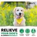 Dog Allergy Relief Chews - Dog Itching Skin Relief Treatment Pills - 170 Chews - Anti-Itch for Dogs - Itchy and Paw Licking - Dry Skin & Hot Spots - Omega 3 Fish Oil - Skin & Coat Supplement Chicken 170 Soft Chews - Buy Online on GoSupps.com