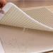 Premium XL Beige Cat Litter Mat - Double Layer Scatter Control & Waterproof - Buy Online on GoSupps.com