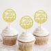 Ercadio 24 Pack Happy Easter Cupcake Toppers Gold Glitter Happy Easter Bunny Eggs Cupcake Picks Easter Rabbit Cupcake Toppers for Easter Day Theme Baby Shower Birthday Party Decor Supplies Pattern 8 - Buy Online on GoSupps.com