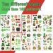 St Patricks Day Tattoos  200 Pcs Shamrocks Temporary Tattoo  St. patrick's Day Temporary Tattoos Shamrocks  St Patricks Day Decorations Party Favors - Buy Online on GoSupps.com