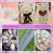 Flat Back Pearls Kit - 2 Boxes of White & Pink Half Round Pearls (2-8mm) with Tools for DIY Nail Art Makeup & Crafts - International Shipping Available - Buy Online on GoSupps.com
