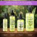 Eclectic Lady Body Spray for Women 16 Oz Lemon Verbena Body Mist with Long-Lasting Fragrance Fresh Wonderful Scent for Spring & Summer Floral & Fruity Perfume for Women with Orange Daily Use Regular Strength 16 Fluid Ounces - Buy Online on GoSupps.com