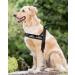 Shop Eeyfarog No Pull Dog Harness for Small & Medium Dogs - Adjustable Reflective Safe Black - Buy Online on GoSupps.com