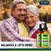 High-Potency Colorado Hemp Oil (2 Pack) 500,000 - Natural Omega 3 6 9 Source - Restful Sleep - Made in USA - Buy Online on GoSupps.com