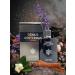 POUR HOMME GENIUS GENTLEMAN EAU DE TOILETTE 3.4 FL. Oz Woody Aromatic fragrance for men. - Buy Online on GoSupps.com