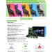 2PM SPORTS Torinx Adjustable Inline Skates | Fun Roller Blades for Kids | Beginner Roller Skates for Girls, Boys, Men, and Ladies | Green Large - Youth (4-7 US) - Buy Online on GoSupps.com
