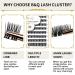 Buy BQ Lash Single Eyelash Clusters - DIY Colored Eyelash Extensions (B48 B02 B09) for Home Use - International Shipping Available - Buy Online on GoSupps.com