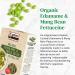 Explore Cuisine Organic Edamame & Mung Bean Fettuccine - 8 oz - High Protein, Easy-to-Make Pasta - Non-GMO, Gluten Free - Buy Online on GoSupps.com