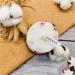 Dried Flower Scented Candles - Handmade Aromatherapy Gifts for Women | Natural Soy Wax | International Shipping - Buy Online on GoSupps.com