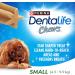 DentaLife Chews Dog Treats for Small Breed Dogs - 595 g Pouch (1 Pack) 40 count (Pack of 1) - Buy Online on GoSupps.com