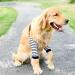 Soft and Breathable Dog Elbow Brace Protector Prevent Licking and Wearable Striped Design for Enhanced Style and Functionality (5XL) - Buy Online on GoSupps.com