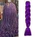 Gairyan jumbo braids extensions lichen art hair 1 piece 100g braiding hair extensions 60cm ombre synthetic braids afro hair for box crochet braids (dark violet) 60 cm (1 piece) dark purple