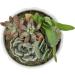 Costa Farms Succulent Garden Live Plant in 8-Inch Ceramic Decor Planter - Buy Online on GoSupps.com