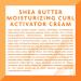 Cantu Moisturizing Curl Activator Cream with Pure Shea Butter 12 fl oz (Pack of 2) - Natural Hair Care - Buy Online on GoSupps.com