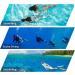 SwimStars Snorkel Set for Women and Men - Anti-Fog Comfortable Mask with Tempered Glass - Ideal for Swimming, Snorkeling, and Scuba Diving - Yellow - Buy Online on GoSupps.com
