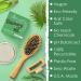 Rosemary Oil Shampoo Bar for Hair Growth | Eco-Friendly Vegan & Color Safe | Strengthening with Rice Protein & Jojoba - Buy Online on GoSupps.com