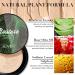 CC Cream Air Cushion Foundation Mushroom Head Air Cushion BB Cream Moisturizing Concealer Makeup Base Uniform for All Skin Types (Natural) - Buy Online on GoSupps.com