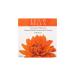 Ecco Bella Bronzing Powder Hibiscus - 0.38 oz | Natural, Vegan, Cruelty-Free - Buy Online on GoSupps.com