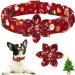 Aring Pet Christmas Dog Collar - Cute Santa Claus Design with Flower | Cotton Red Collar for Small Medium Large & XL Dogs - Perfect Holiday Accessory - Buy Online on GoSupps.com