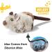Vealind Interactive Cat Toy 2 Pack - Electronic Bird & Mouse with Sound | Ideal for Cats | Best Quality Pet Toys - Buy Online on GoSupps.com