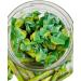 Simway Sweets Jar 530g - Jungle Jollies Green Apple Chews - American Sweets - Approximately 48 Pieces - Buy Online on GoSupps.com