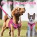 Buy Medium Rose Padded Dog Harness for Small Dogs - Comfortable Puppy Harness for Ultimate Control - Buy Online on GoSupps.com