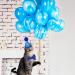 Shop Dher Pet Birthday Set - Gold Sequin Hat & Decor for Dogs & Cats - Festive Party Accessories (Blue) - Buy Online on GoSupps.com