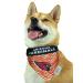 Zubaz NFL Team Reversible Pet Bandana for Dogs & Cats, Arizona Cardinals, Small/Medium Arizona Cardinals Small/Medium