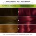 Garnier Nutrisse Ultra Color 5.62 Vibrant Red Hair Dye - Intense Color for All Hair Types - Buy Online on GoSupps.com