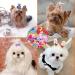 Berkelen 50-Piece Dog Hair Accessories Set Rubber Band Loops & Arches for Long-Haired Pets Perfect for Dogs & Cats - Buy Online on GoSupps.com